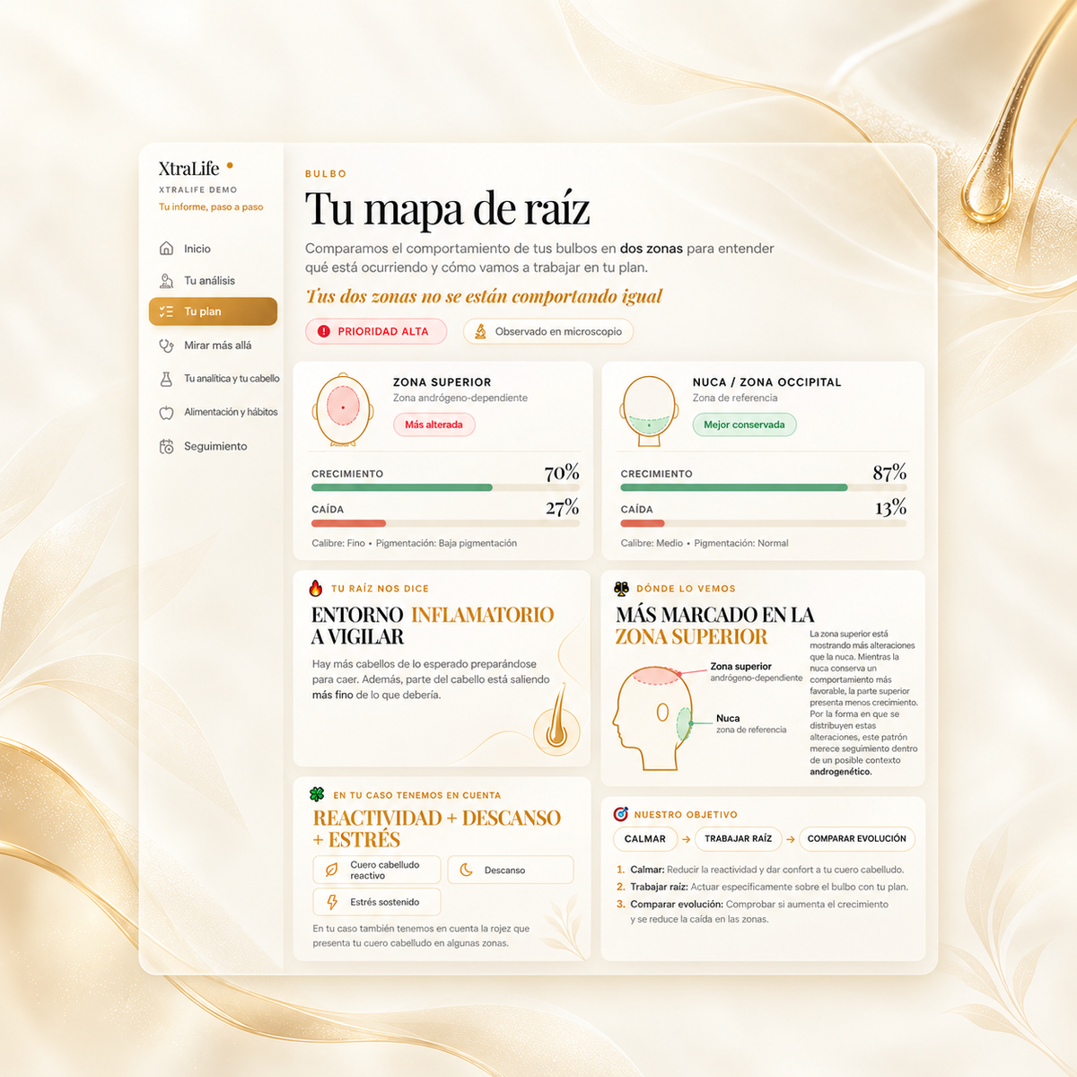Captura del informe XtraLife en una tablet